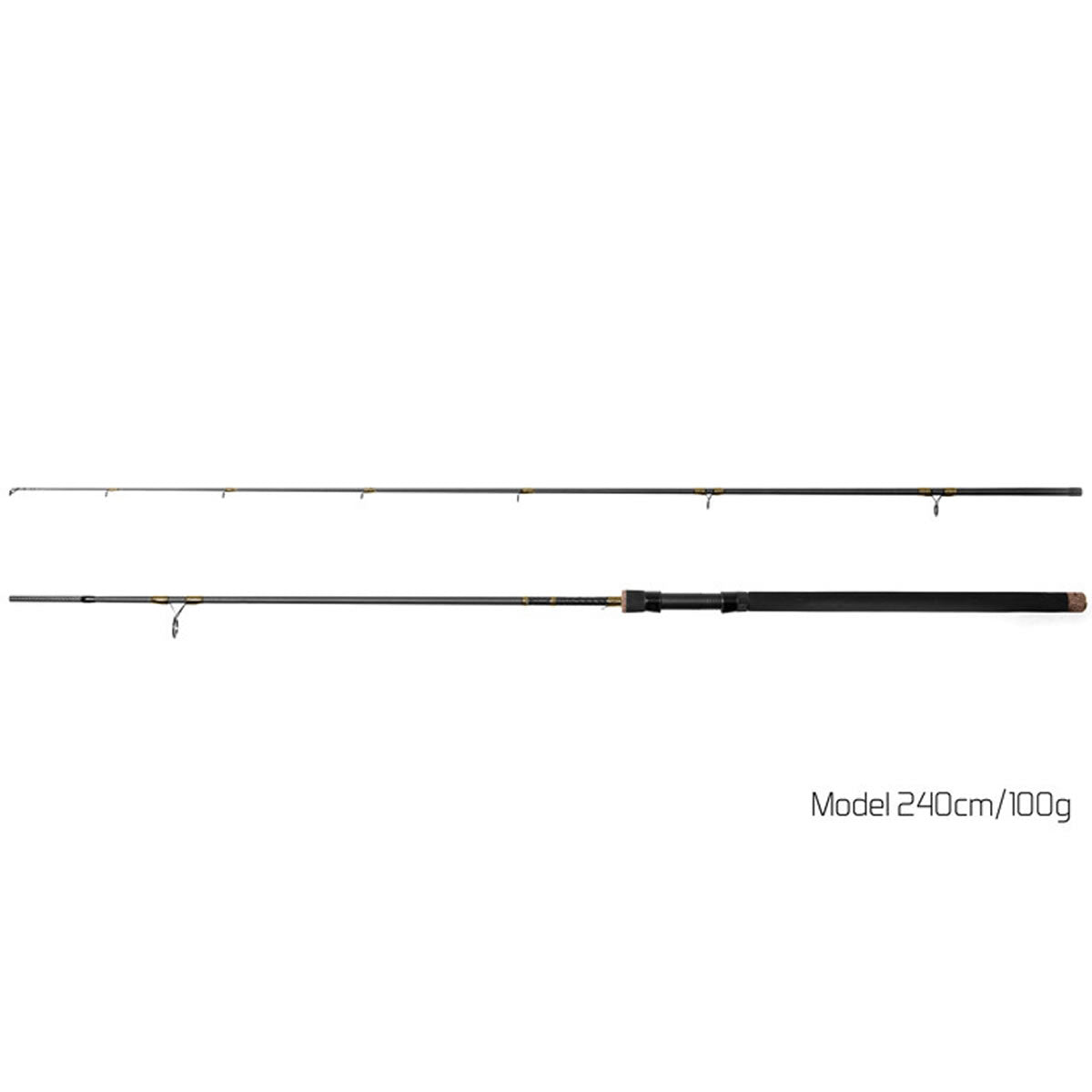 Lanseta Delphin MURENA 2.40m, 100g, 2seg