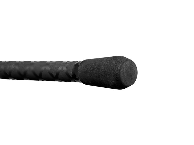 Lanseta Delphin PARTISAN Carp 360cm 3.50lbs 3seg