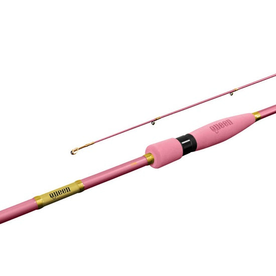 Lanseta Delphin QUEEN Spin 210cm 2-10g 2seg
