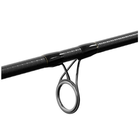 Lanseta Delphin RIVER Trophy NXT 3.20M 3+4seg 180g