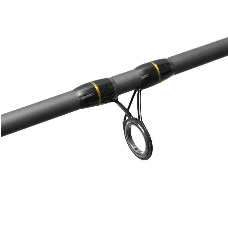 Lanseta Delphin River Trophy feeder Plus 4 varfuri 3.00m 160g
