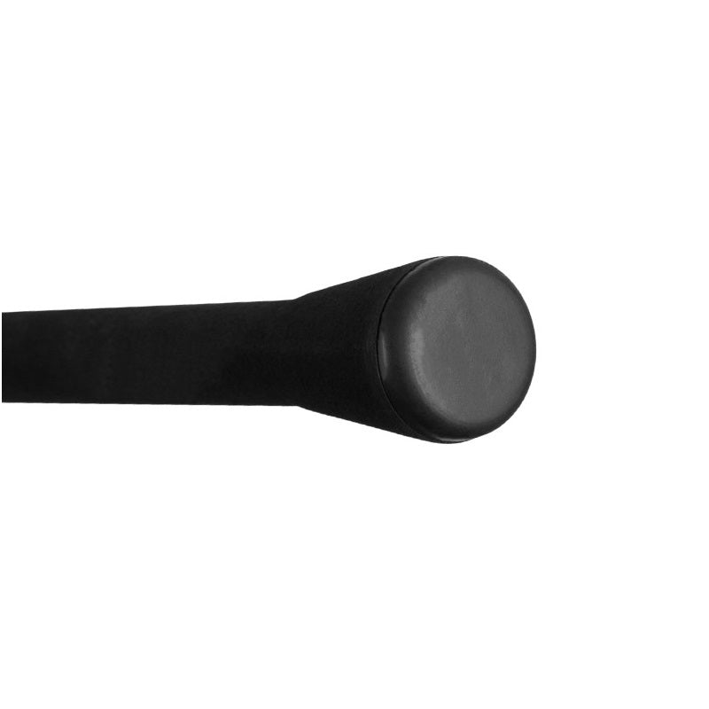 Lanseta Delphin Symbol Carp 2Seg 3.60m 3.00lbs