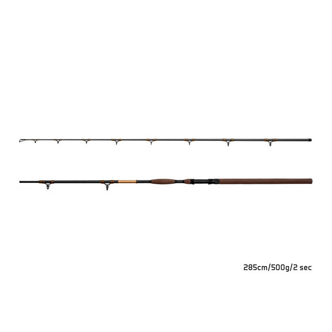 Lanseta Delphin SymbolCAT Bronze 285cm 500g 2 tronsoane