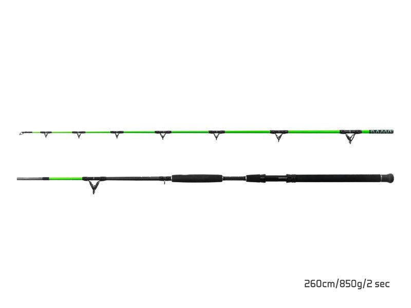 Lanseta Delphin WALKYRA 260cm 850g 2seg