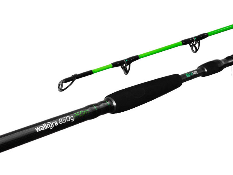 Lanseta Delphin WALKYRA 330cm 850g 2seg