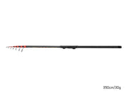 Lanseta Delphin XERXES TeleFLOAT 390cm 30g 7seg