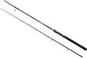 Lanseta EnergoFish Wizard Active Spin, 2.10m, 10-30g, 2seg