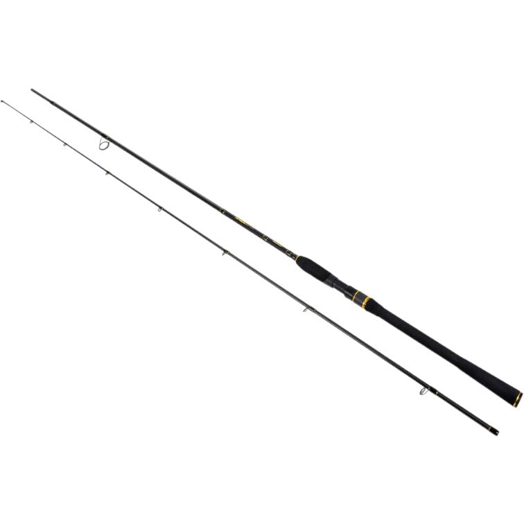 Lanseta FORMAX Aries Cast, 2.58m, 40-80g, 2seg