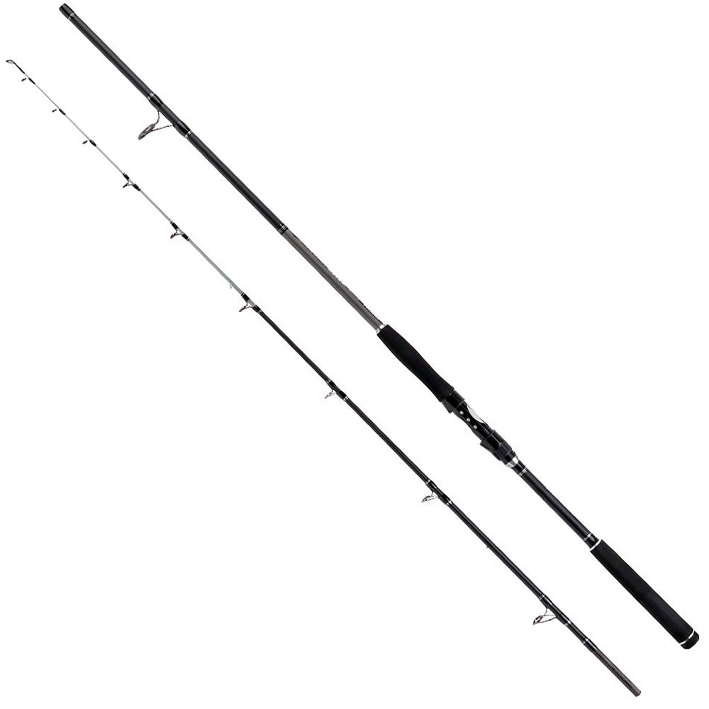 Lanseta FORMAX Black River, 2.40m, 80-240g, 2seg
