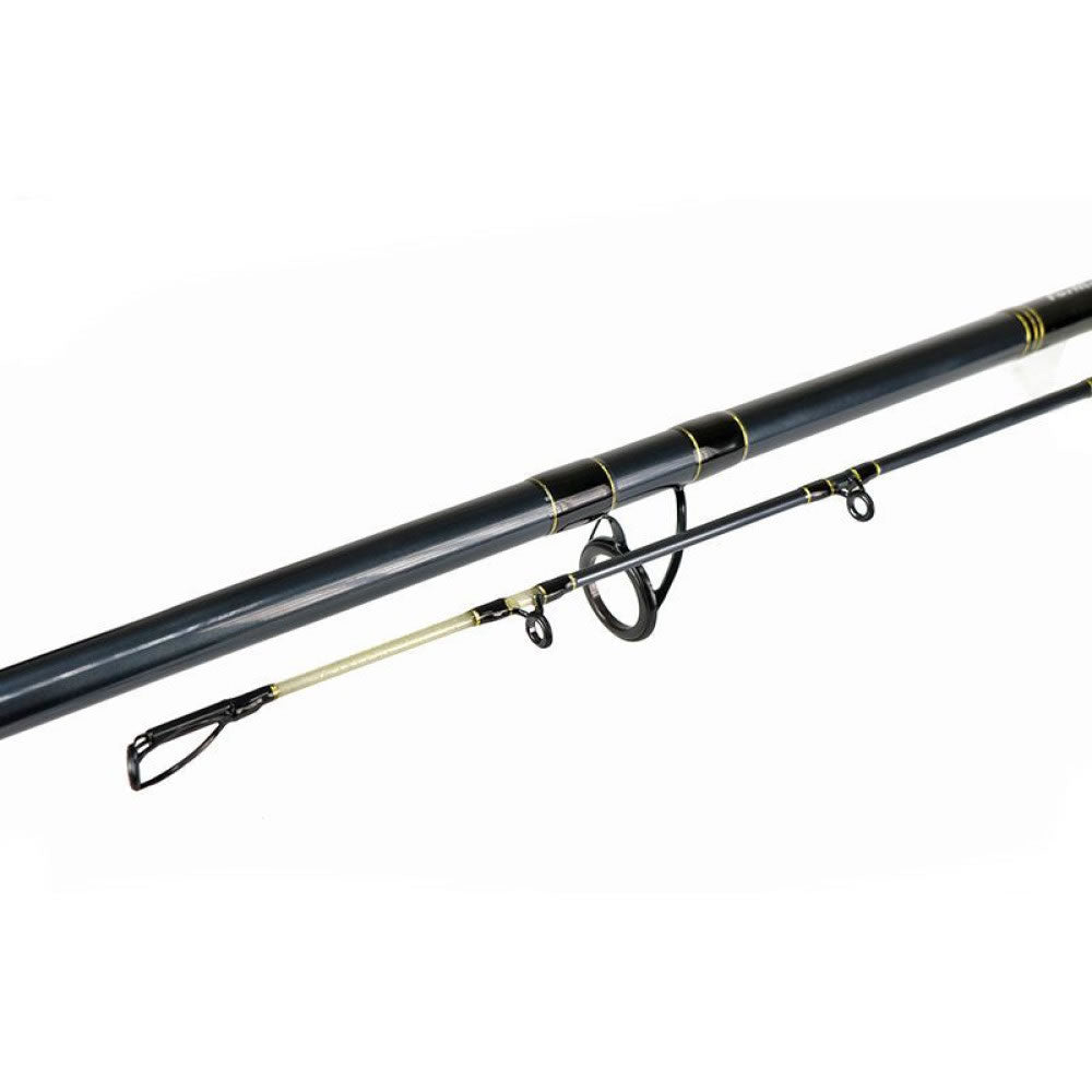 Lanseta FORMAX Tactic Cat, 2.70m, 60-150g, 2seg