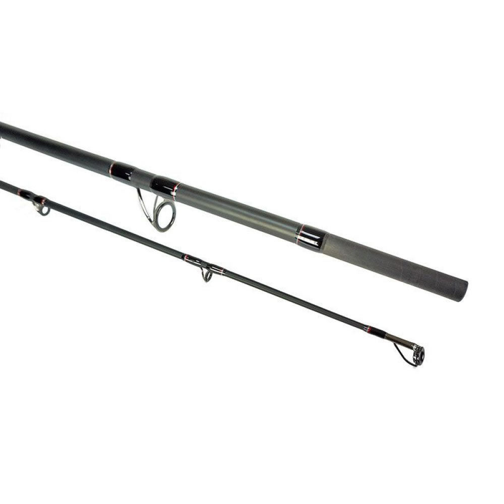 Lanseta FORMAX Vantage Catfish, 2.70m, 100-300g, 2seg