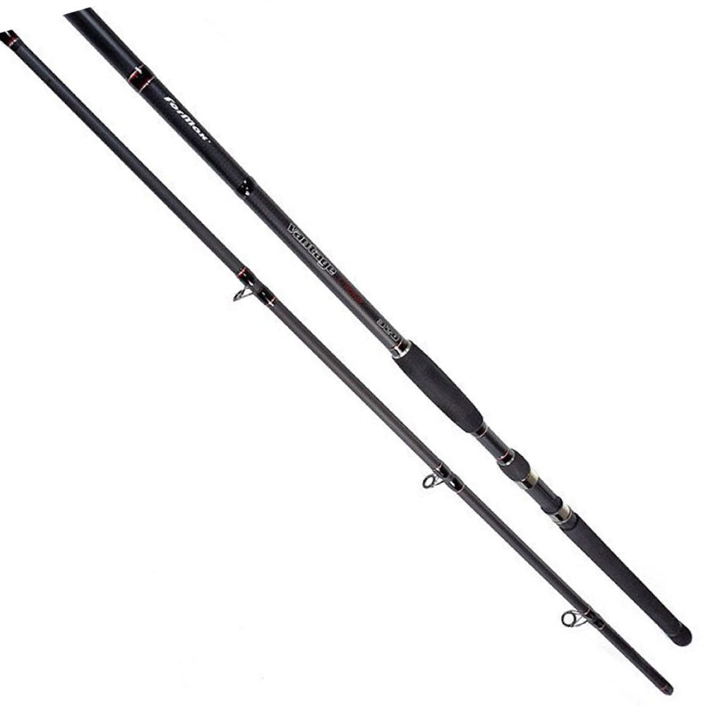Lanseta FORMAX Vantage Catfish, 3.00m, 100-300g, 2seg