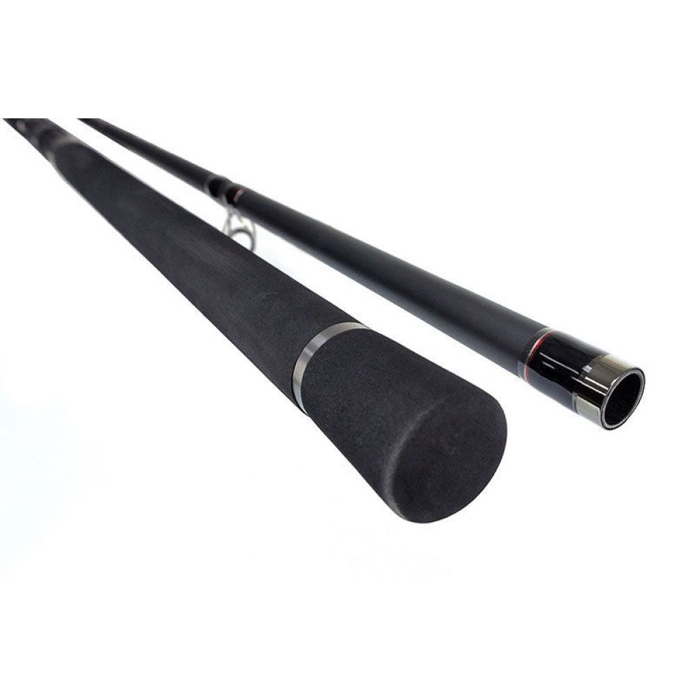Lanseta FORMAX Vantage Catfish, 3.20m, 100-300g, 2seg