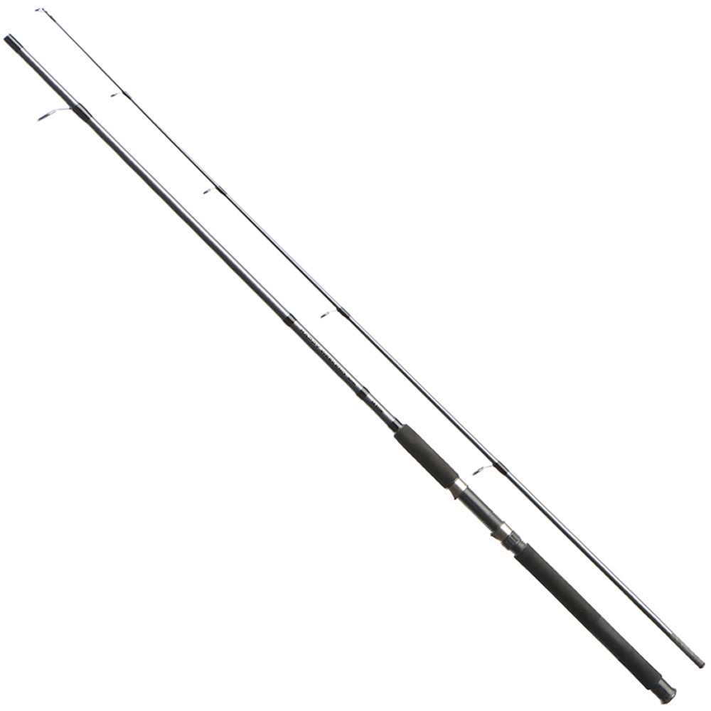 Lanseta JAXON Happy Weekend Spinning, 2.40m, 10-30g, 2seg