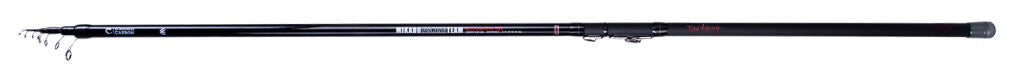 Lanseta Mikado MFT Bolognese 6m 25g