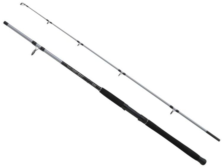 Lanseta Mitchell Tanager SW Boat Rod H, 100-200g, 2.70m, 2seg