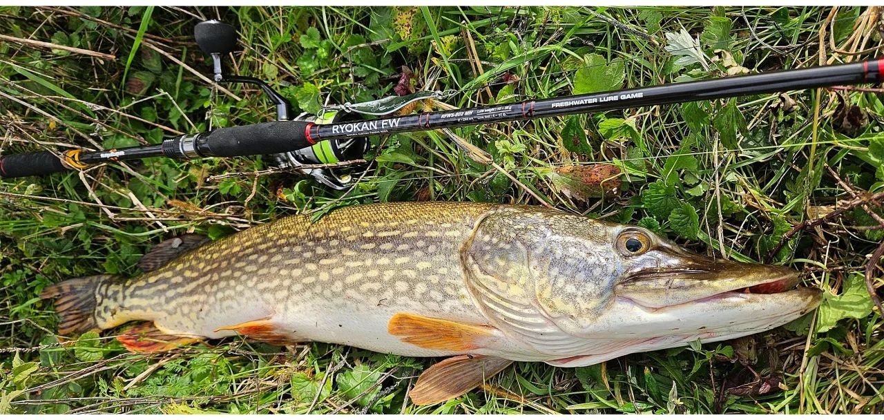 Lanseta SAKURA Ryokan FW Spin RFWS 702MH, 7-28g, 2.13m, 2seg