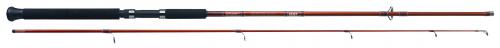 Lanseta Sert RANGER 3,00m/2Seg 60-100gr
