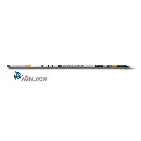 Lanseta bolognesa Italica Super Fortexa Bronze 5m 5-25g