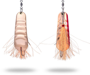  Lingurita Zebco 22g 7,5cm Trophy Z-Weedless Ace copper/red sinking