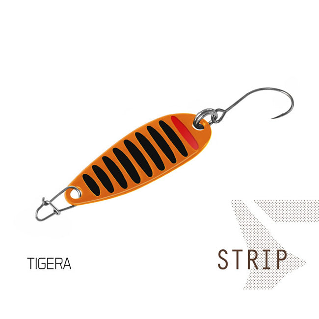 Lingurita oscilanta Delphin Strip TIGERA
