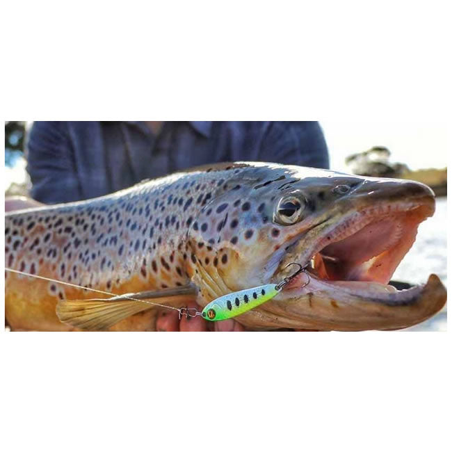 Lingurita oscilanta Pontoon21 Paco 10.5g S76-040 4.5cm
