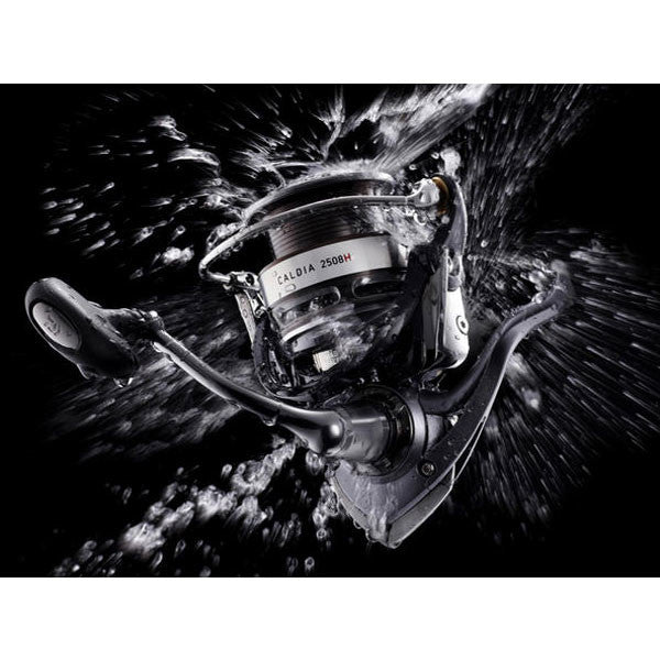 MULINETA DAIWA CALDIA 2000A 
