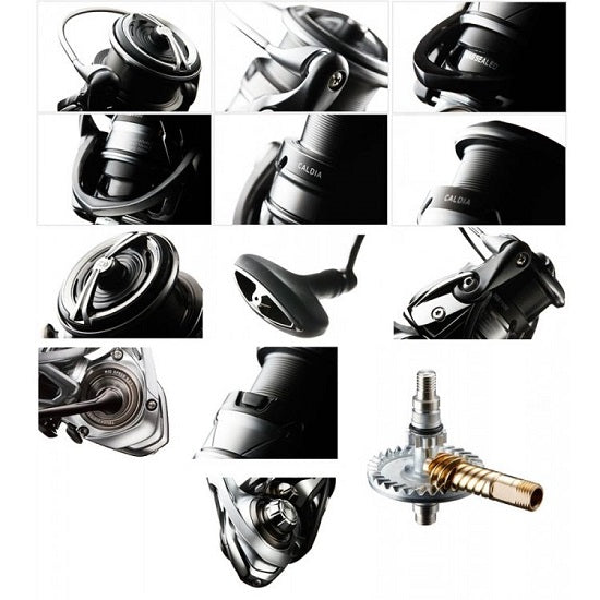 MULINETA DAIWA CALDIA LT 2500D