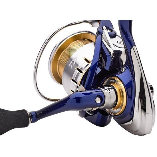  MULINETA DAIWA TDR MATCH AND FEEDER 4012QD