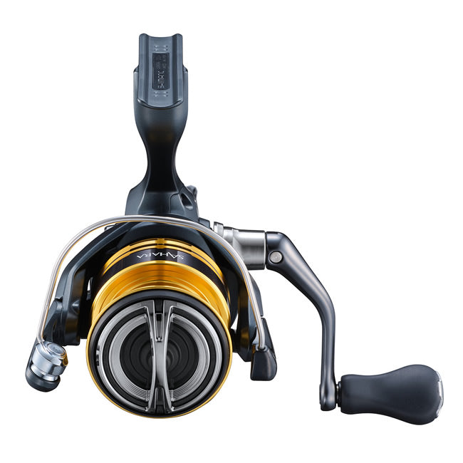 MULINETA SHIMANO SAHARA  C5000 XG FJ
