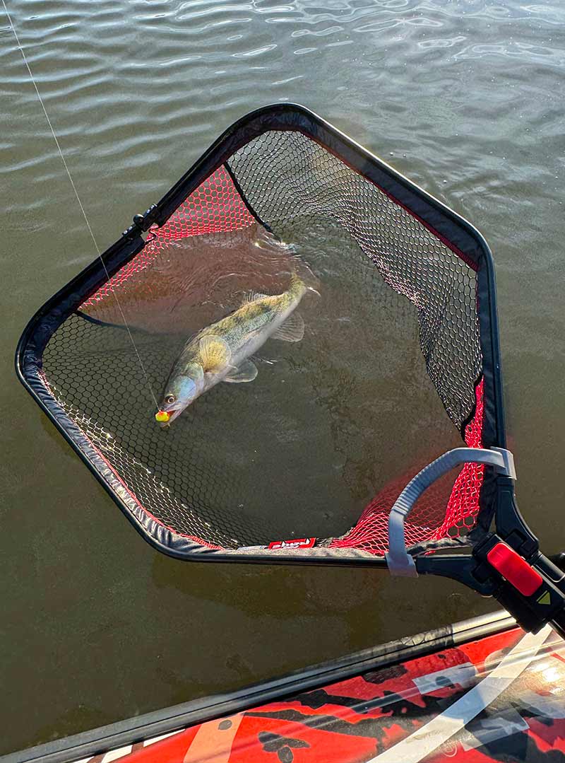 Minciog FOX RAGE Speed Flow Folding Net, Large, 70x80x101cm