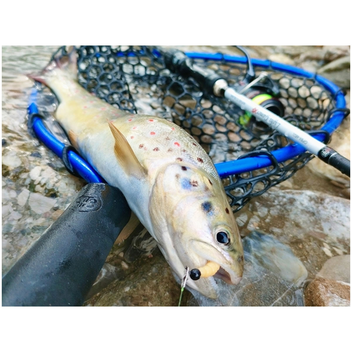 Minciog RTB Rubber Landing Net Black and Blue, 30x35cm