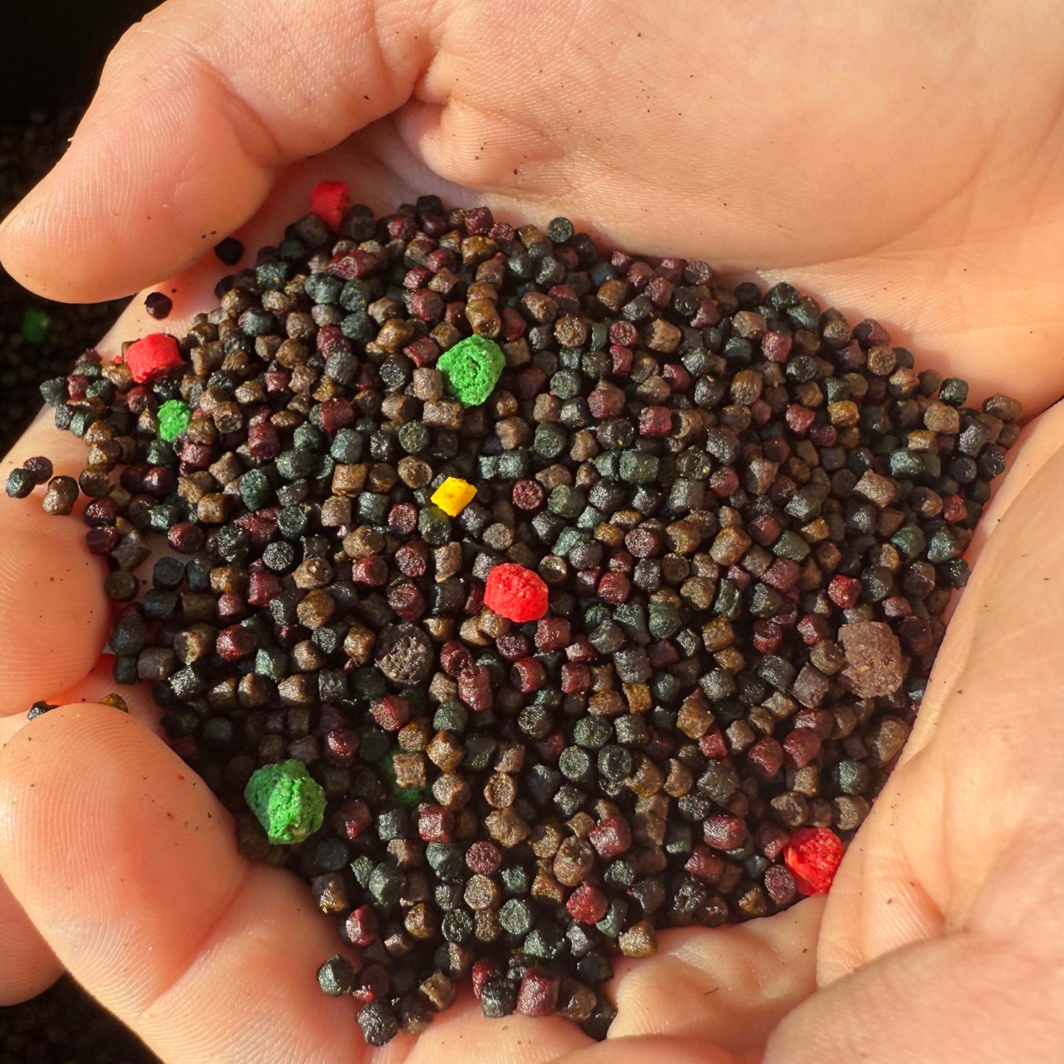 Mix Pelete SENZOR Editie Limitata, 2-3mm, 5kg