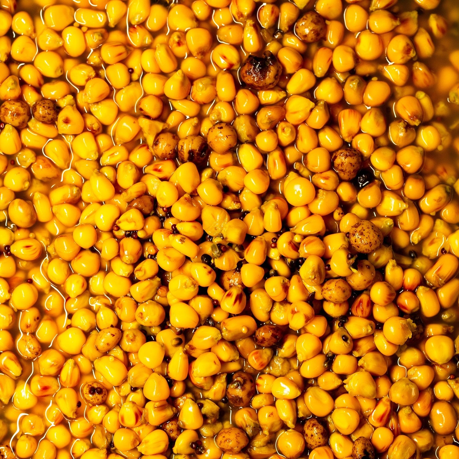 Mix Seminte SENZOR Krill, 800g
