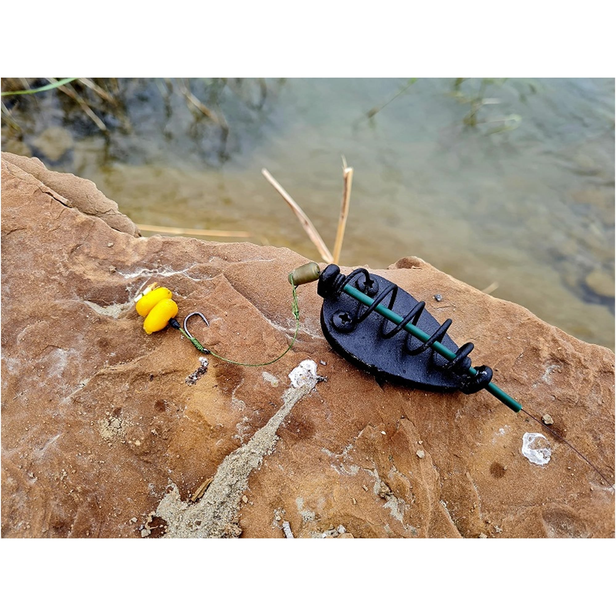 Momitor FeederX Method Feeder Wild Carp
