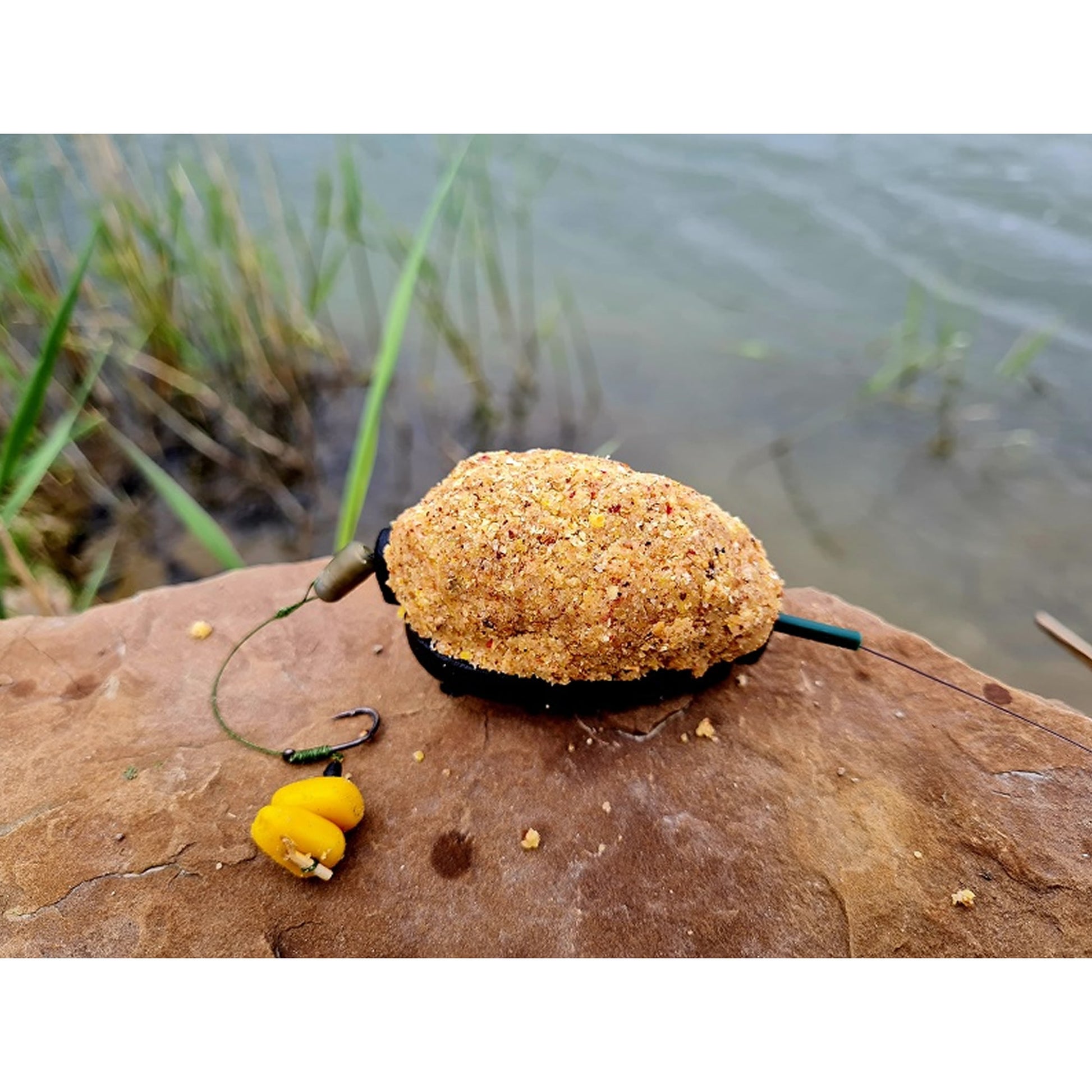 Momitor FeederX Method Feeder Wild Carp
