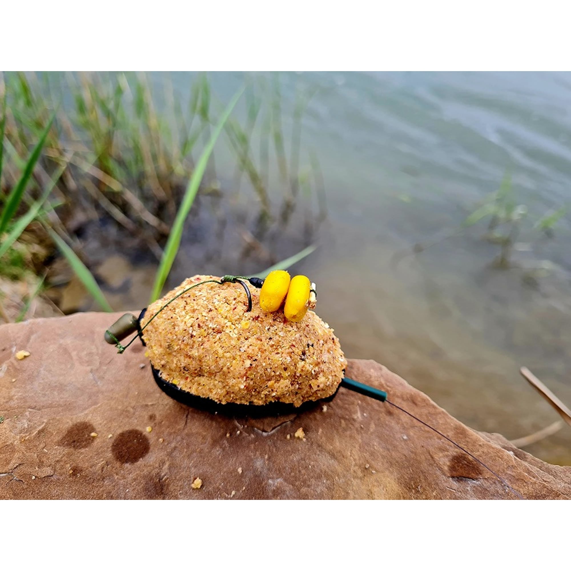 Momitor FeederX Method Feeder Wild Carp