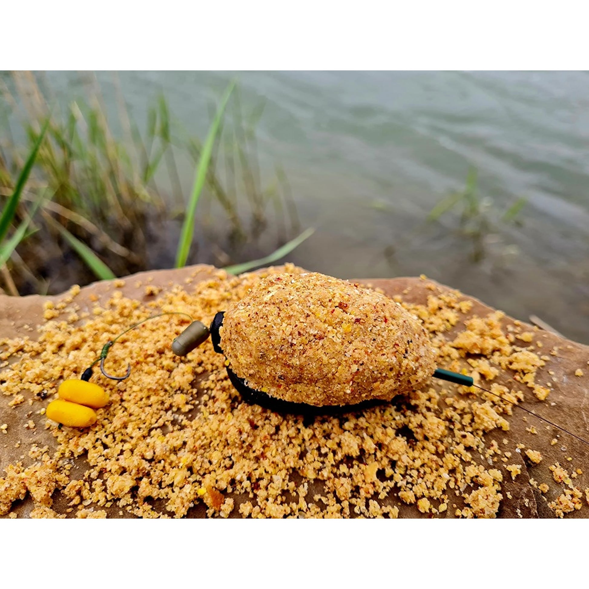 Momitor FeederX Method Feeder Wild Carp