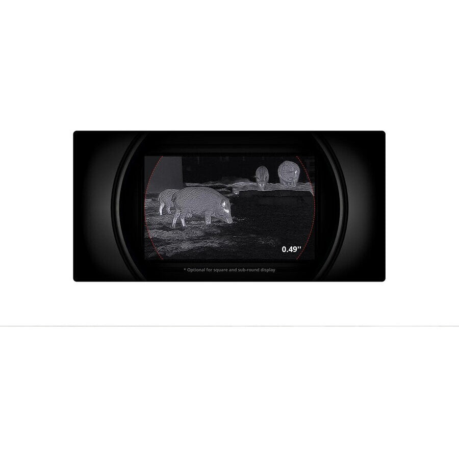 Monocular Cu Vedere Termica HIKMICRO Falcon 2.0 640X512 64GB