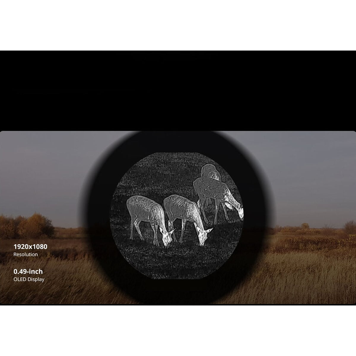 Monocular Vedere Termica HIKMICRO Thunder 3.0 384X288 64gb