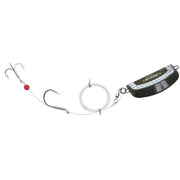 Montura BERKLEY Baitfish Saltwater Rig Green Pumpkin 1buc/pac