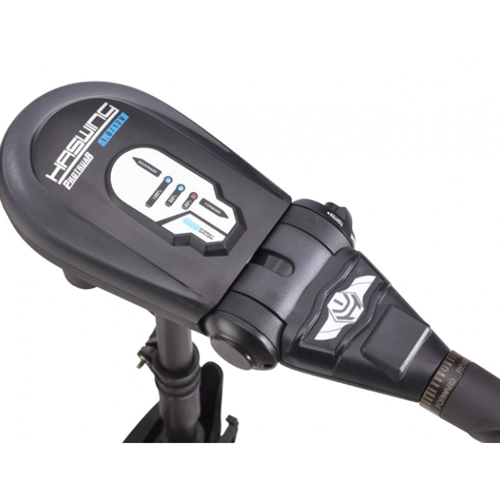 Motor Electric HASWING Protruar 1 HP 65lbs Brushless