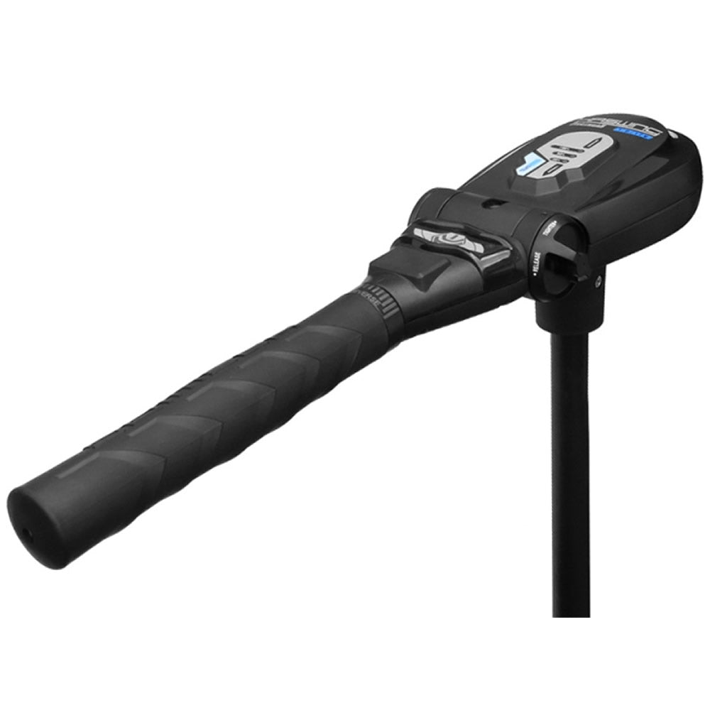 Motor Electric HASWING Protruar 2 HP 85lbs Brushless