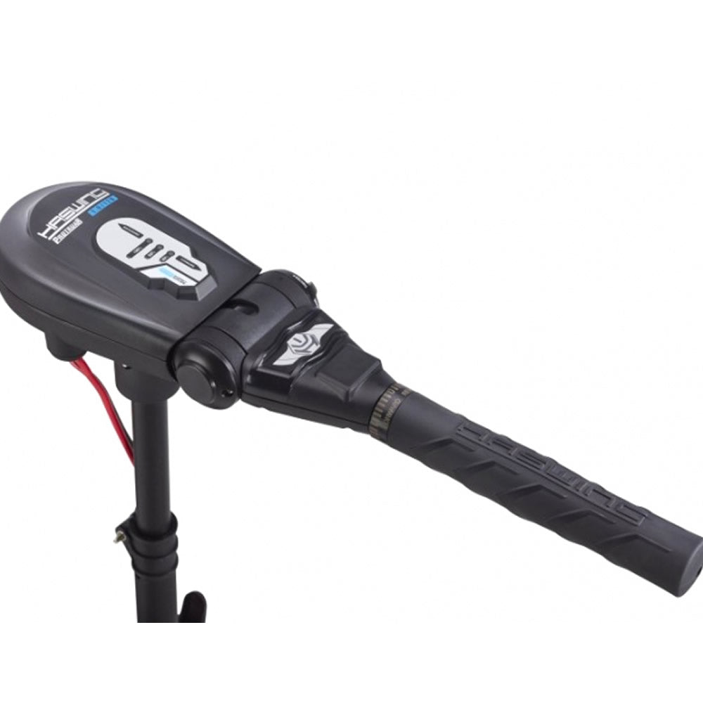 Motor Electric HASWING Protruar 3 HP 110lbs Brushless