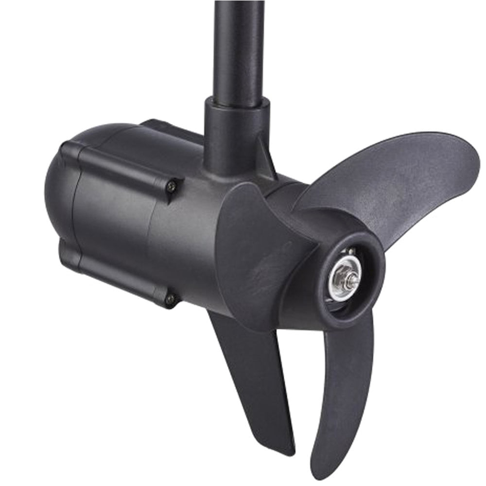 Motor Electric HASWING Protruar 3 HP 110lbs Brushless