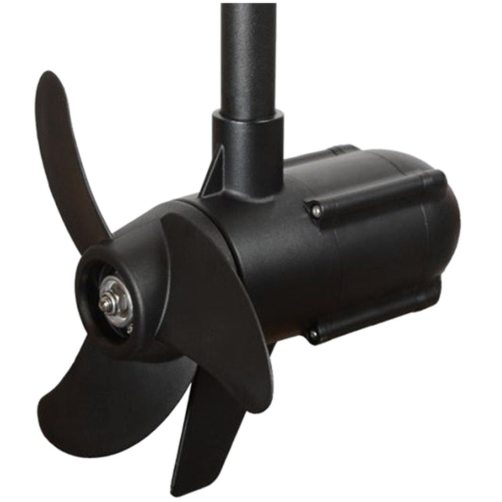 Motor Electric HASWING Protruar V2 1 HP 65lb, Brushless
