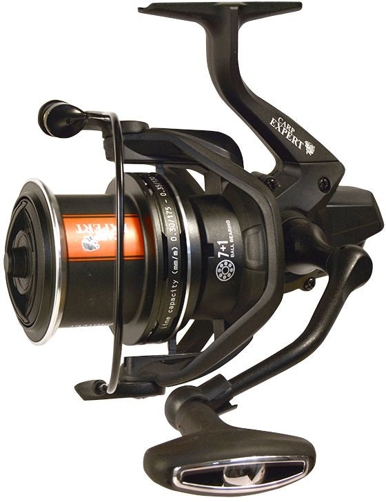 Mulineta Carp Expert Score