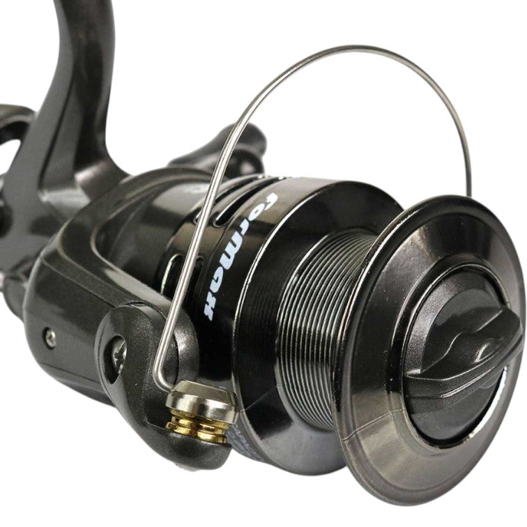 Mulineta FORMAX Cyclone 6000