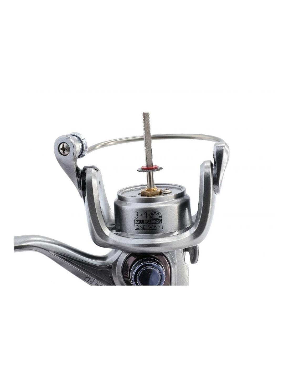 Mulineta Mikado River Flow FD