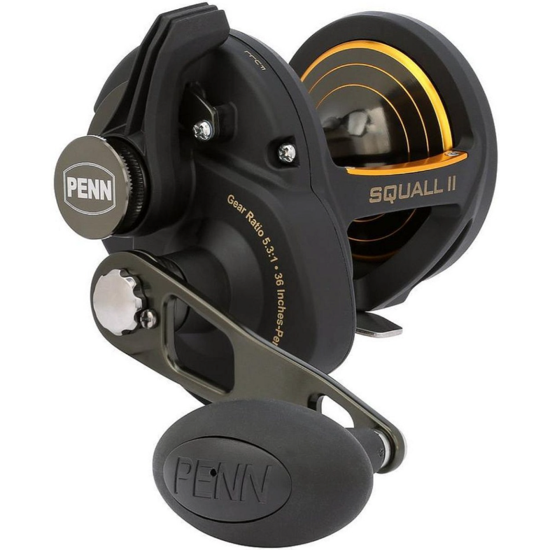 Mulineta PENN Squall II Lever Drag SQLII25NLD